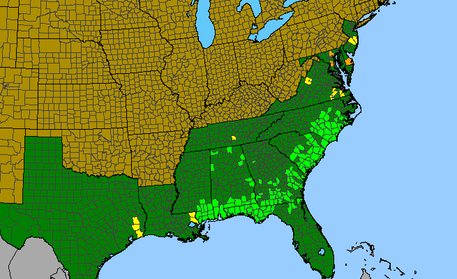 The range of Triantha racemosa