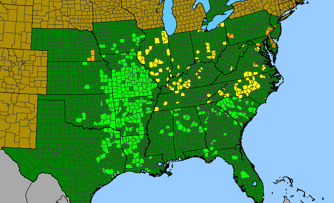 The range of Trifolium reflexum