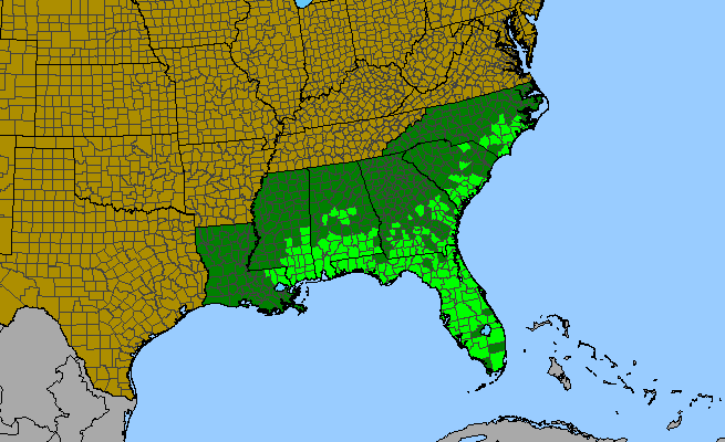 The range of Trilisa odoratissima