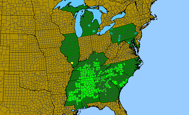The range of Trillium cuneatum