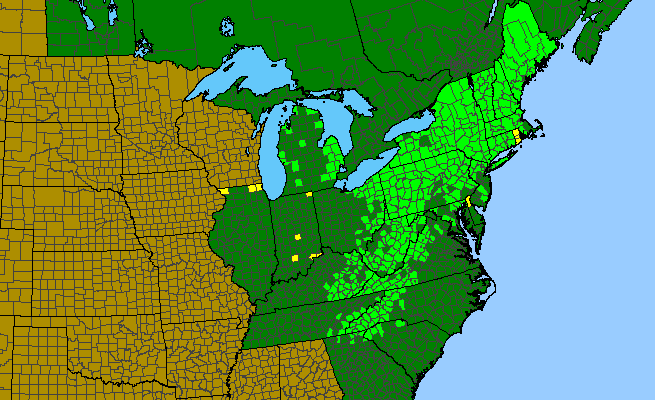 The range of Trillium erectum