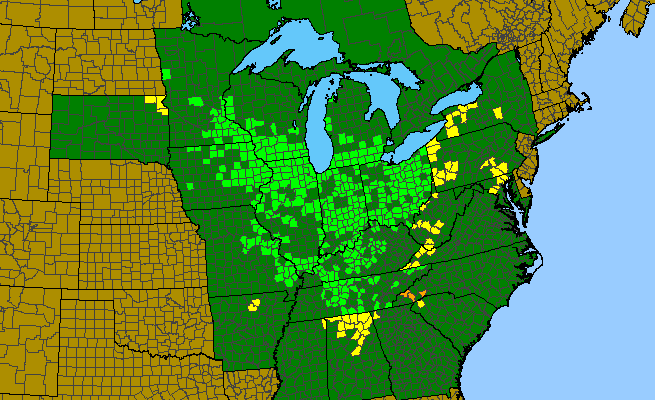 The range of Trillium flexipes