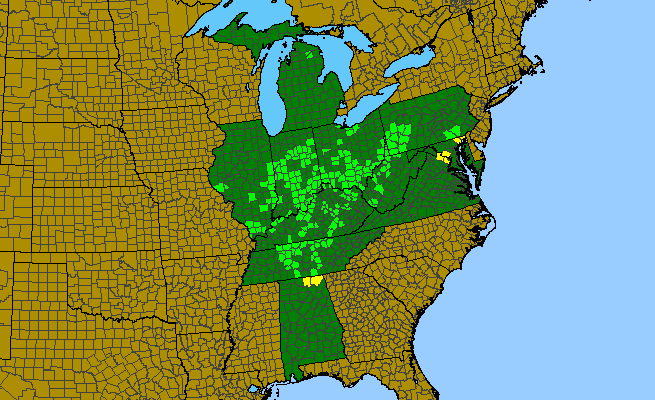 The range of Valeriana pauciflora