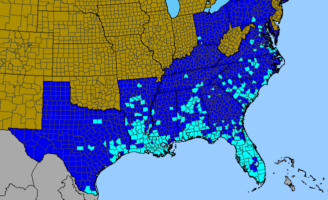 The range of Youngia japonica