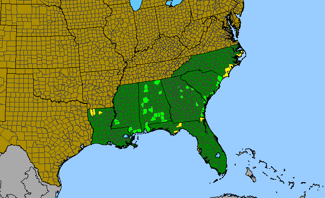 The range of Yucca gloriosa